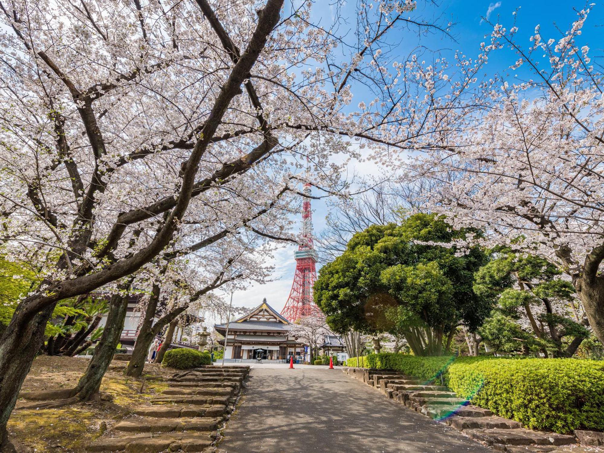 Illi Rom Hamamatsucho Hotel Tokyo Luaran gambar
